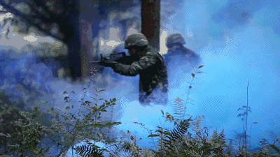 2.gif